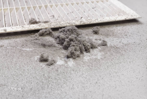 Best HVAC Maintenance and Cleaning  in , SD